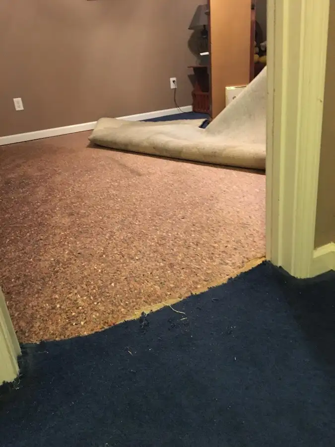 Carpet pad removal revealing water damage during Water Mitigation Services in Orrville