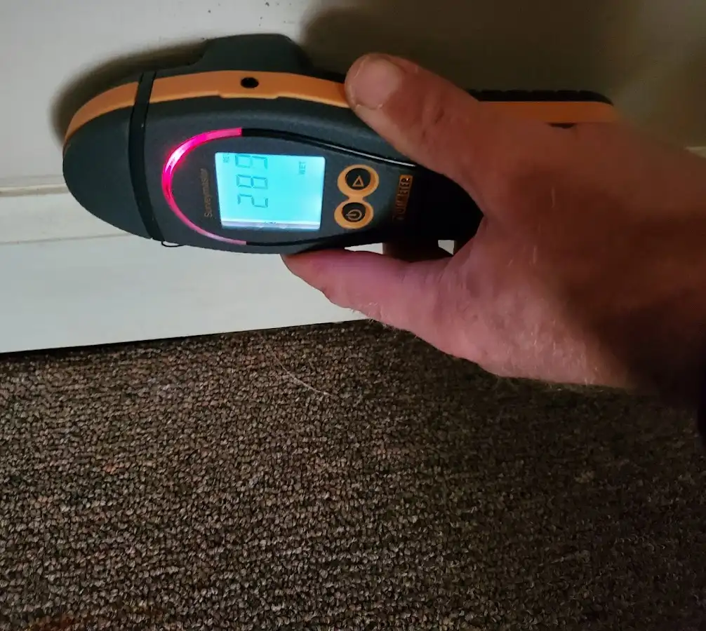 Moisture detection at baseboard during Mold Inspection & Testing in Orrville