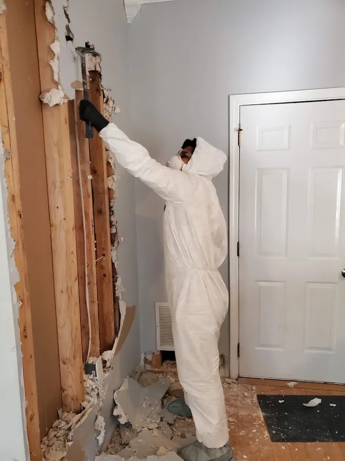 Water Damage Restoration services in Orrville, OH